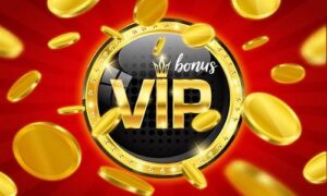 VIP Casino Bonuses for High Rollers